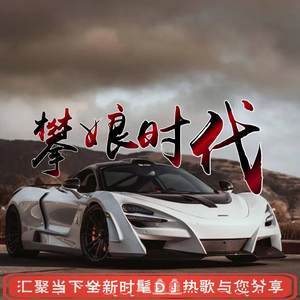 等不到你的岁月风花 (DJ版)封面