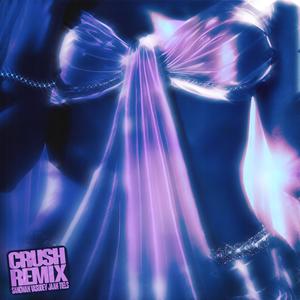 CRUSH (Vasudev Remix|Explicit)