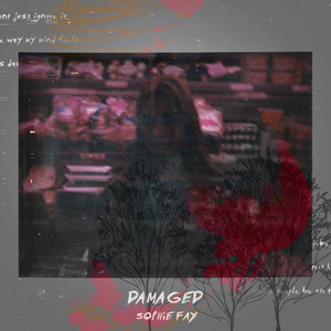 Damaged (Explicit)