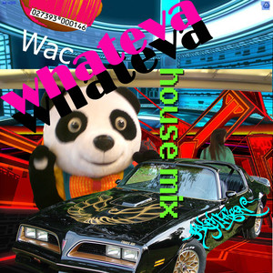 Whateva (feat. Alex K & Alan T) (House Mixx)