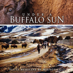 Under a Buffalo Sun