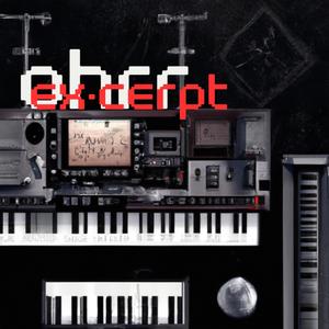 Excerpt