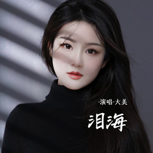 泪海-大美