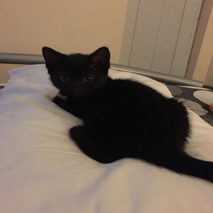 ion blame ya (Explicit)