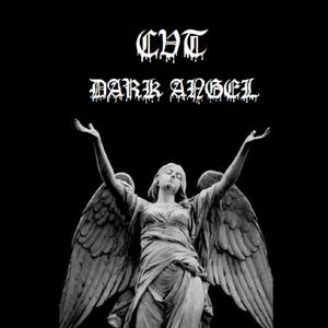 CVT(feat. Catvlyst & YSZ)