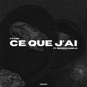 Ce que j'ai (feat. Benzolamelo)