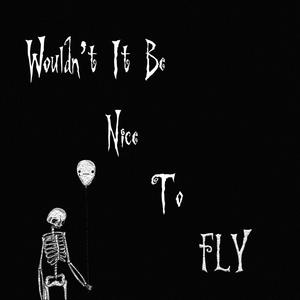 Wouldn't It Be Nice To Fly?