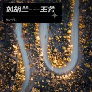 刘胡兰---王芳 (Live)