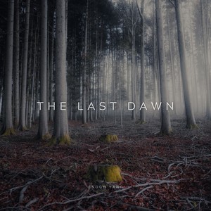 The Last Dawn