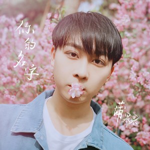 你的名字 (独白版)