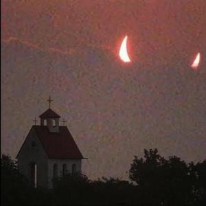 Black roses (feat. Puhf)