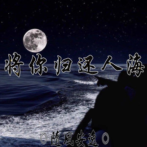 将你归还人海