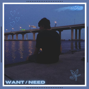 want / need (Explicit)