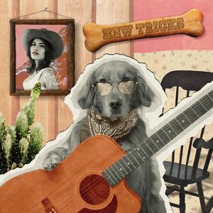 New Tricks (feat. Steve Ray Ladson) (Explicit)