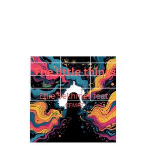 The little things (feat. Tempz)