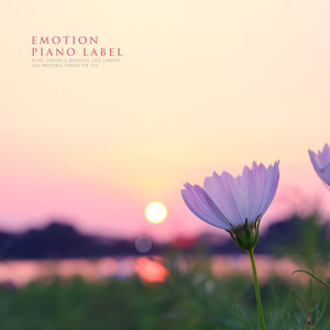 낭만이 흐르는 저녁의 감성 피아노 (Emotion Piano Edition)