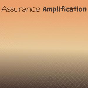 Assurance Amplification