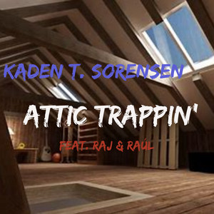 Attic Trappin'