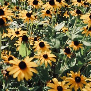 Bloom(feat. Rome Castille & Evrywhr)