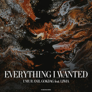 Everything I Wanted (Extended Version)