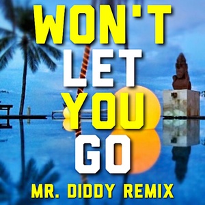 Won't Let You Go (Mr. Diddy Remix)