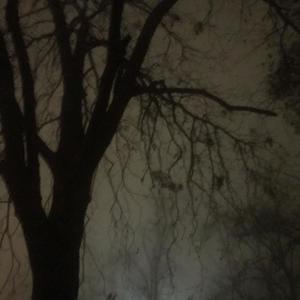 Let Me Down(love Letter) (Explicit)