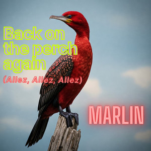 Back on the Perch Again (Allez, Allez, Allez)