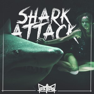 Shark Attack