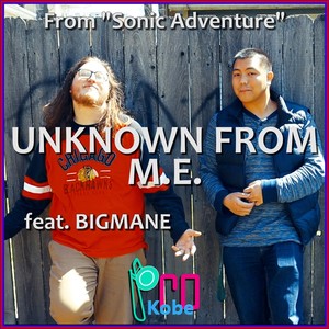 Unknown from M.E. (From "Sonic Adventure") [feat. Bigmane] [Explicit]