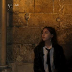 fight or flight (Explicit)