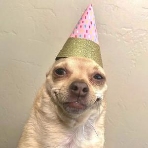 Funny fart birthday wishes