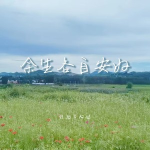 短辫子阿姨 - 余生各自安好 (伴奏)