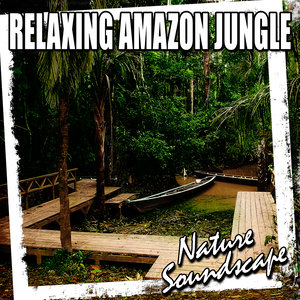 Calming Amazon Jungle Ambience for Tranquil Meditation and Healing (Nature Sound)