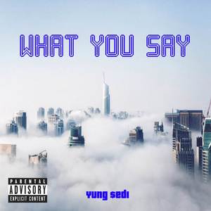 What You Say (Explicit)