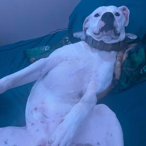 All I Need (Explicit)