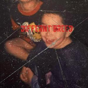 Differnt Breed (Explicit)