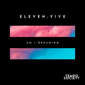 Am I Dreaming (slowed + reverb)