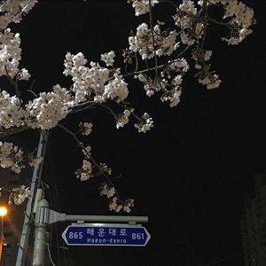 Go Ahead And Watch Me Suffer (Explicit)