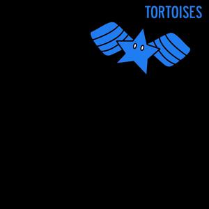 tortoises (Explicit)