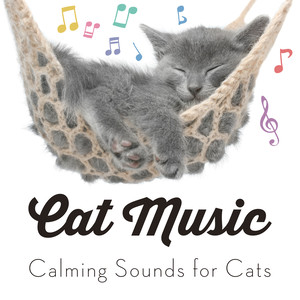 Cat Music