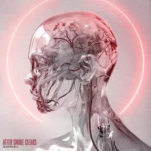 Animal (feat. Stephen MacConville)