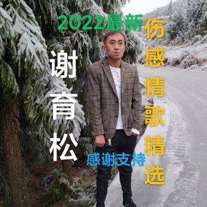伤心羊肉粉