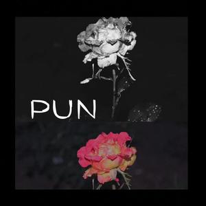 Pun Pun