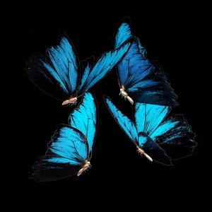 Emotionz (feat. Zamir, Tomi Thomas & Brisb) (Explicit)