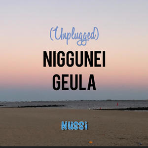 Nussi - Va'ani Bichasdecha