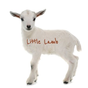 The Marcels Blue Moon