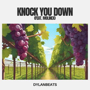 Knock You Down (feat. Molinex)