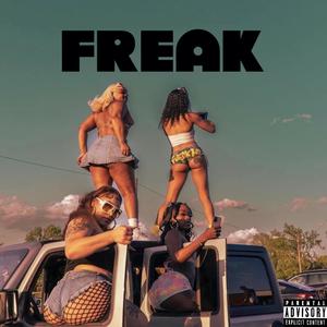 FREAK (Explicit)