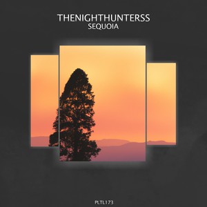 Sequoia (Original Mix)