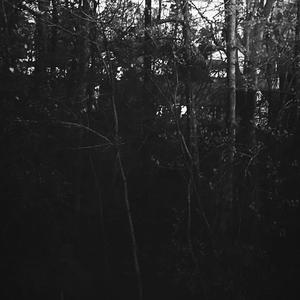 Dream Of You (Explicit)